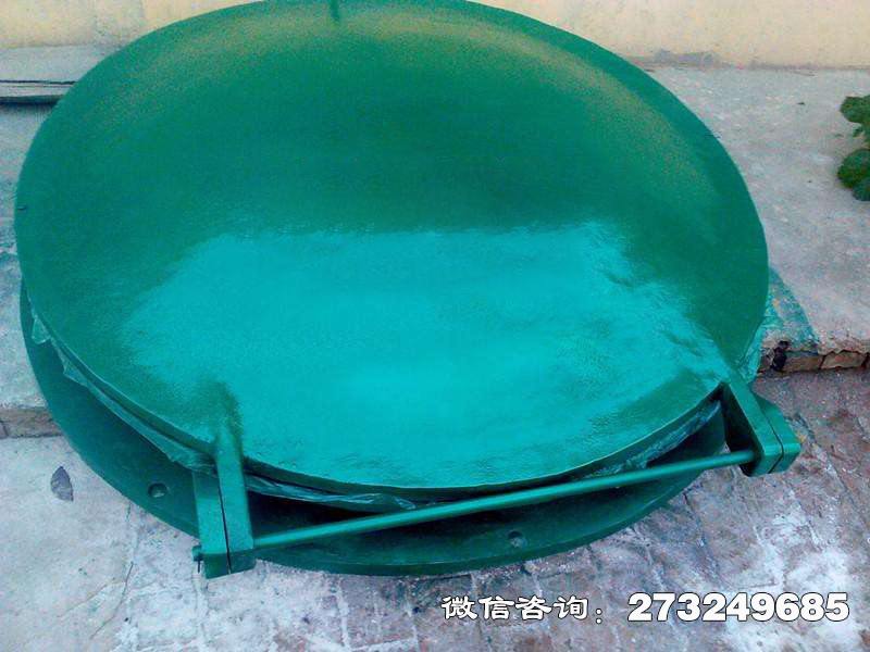 太和玻璃钢圆拍门