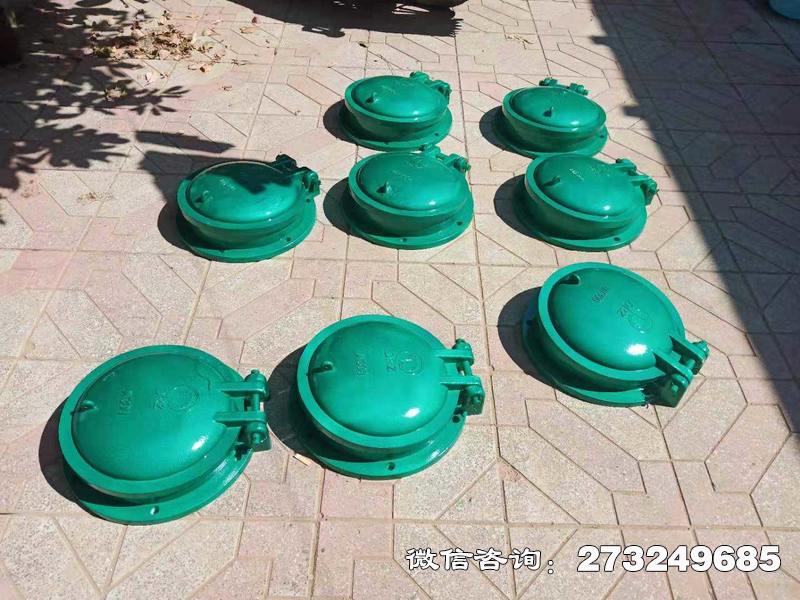 太和玻璃钢止水拍门