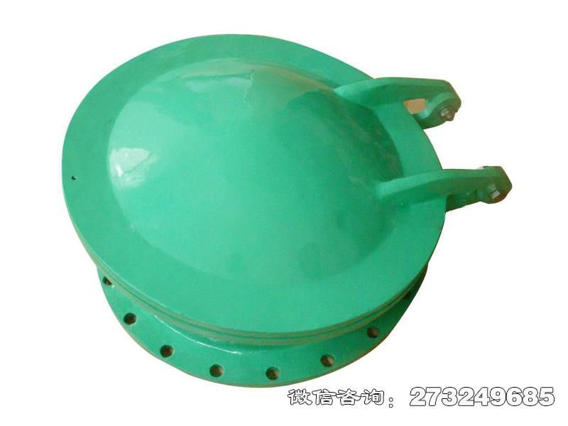 太和耐腐蚀管道玻璃钢拍门